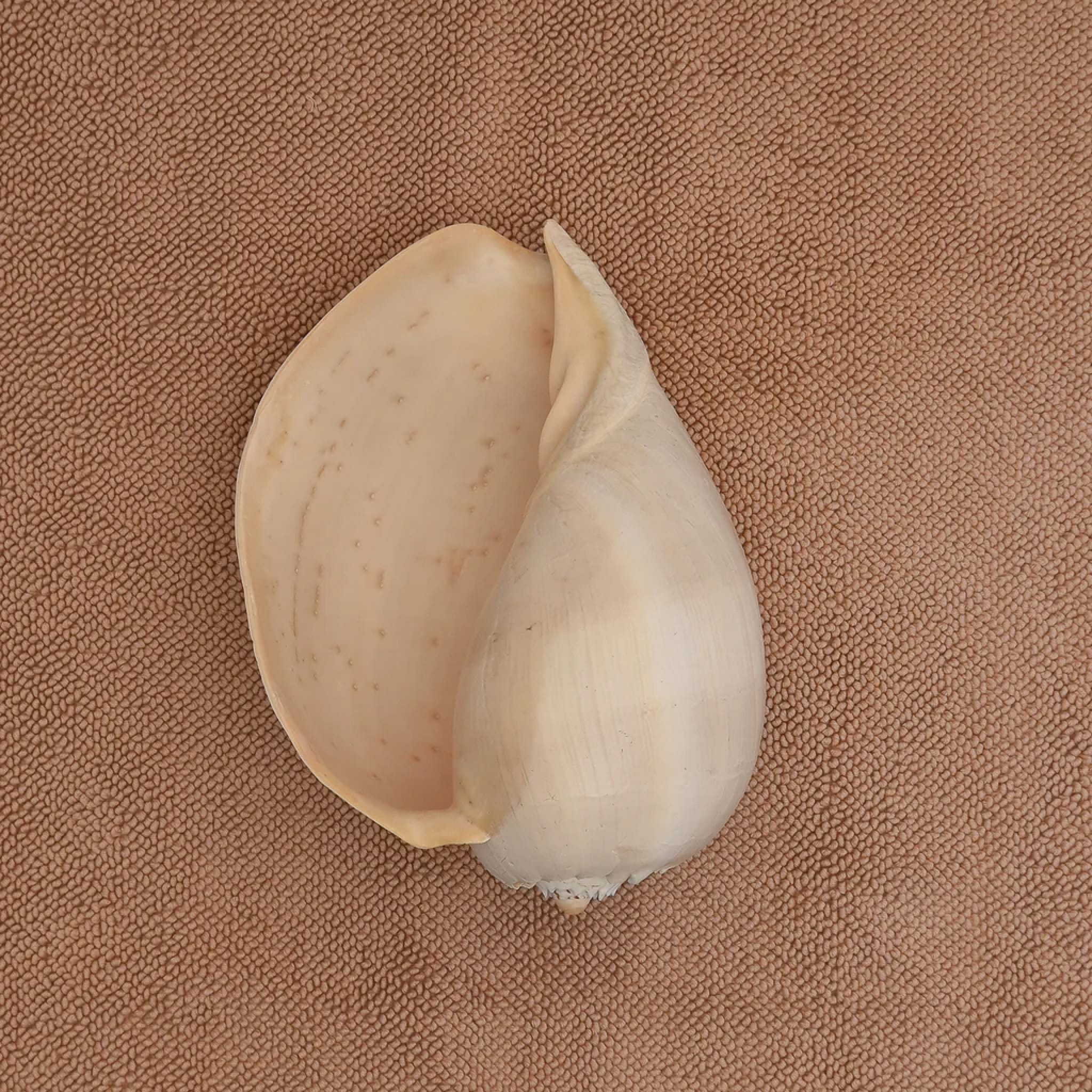 KØBN Bath Mat, 55x85cm, Tahini - Image 4