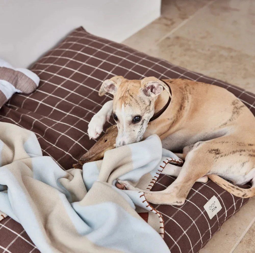 OYOY ZOO Kyoto Dog Cushion, Choc (3 Sizes) - Image 3