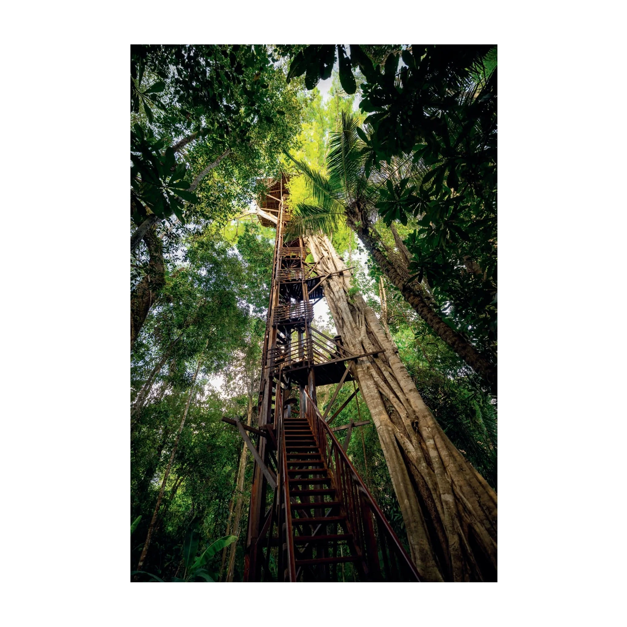 The World's Best Nature and Design Coffee Table Book - Image 10