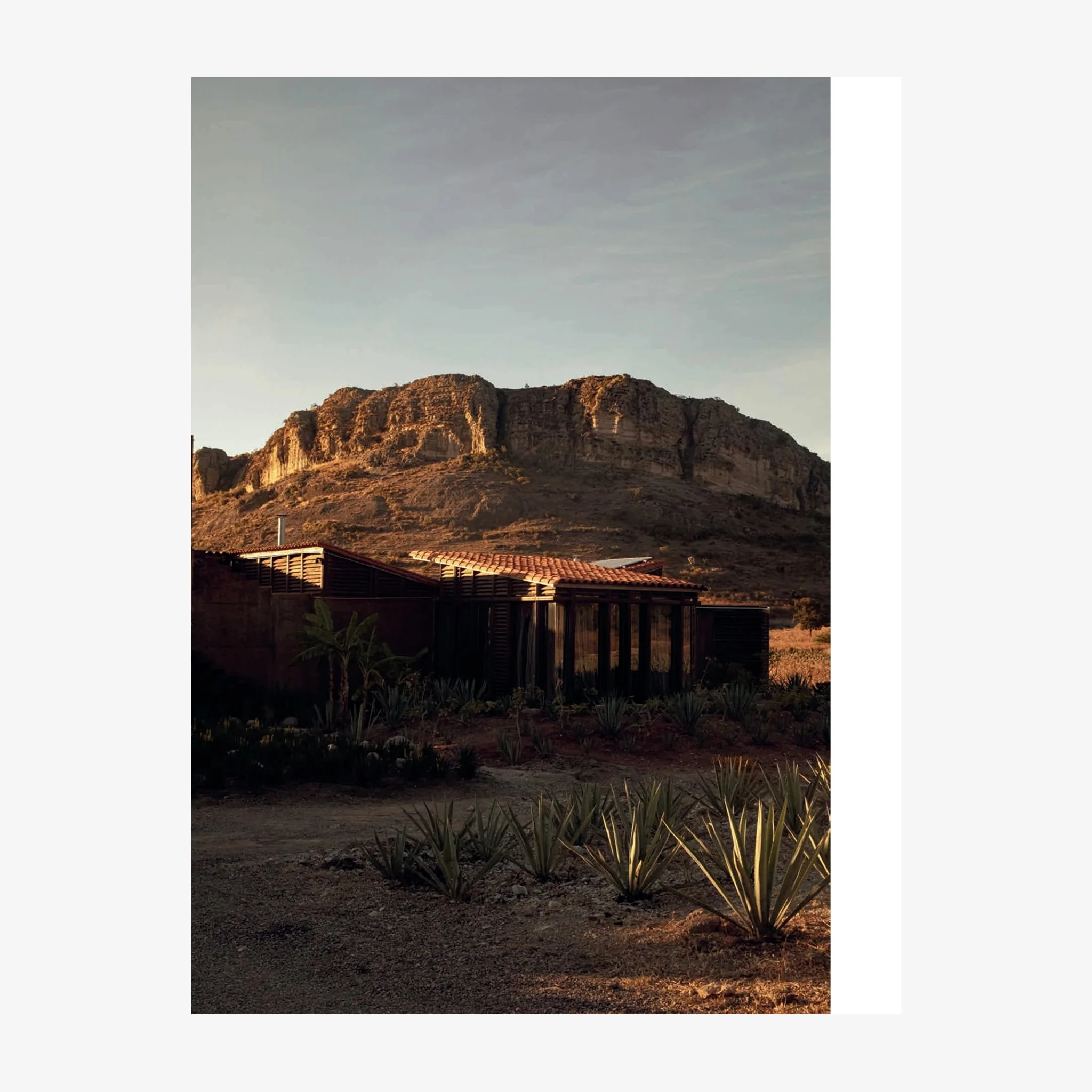 The World's Best Nature and Design Coffee Table Book - Image 5